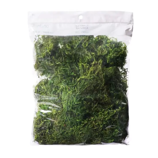 Preserved Forest Moss by Ashland&reg; {1}