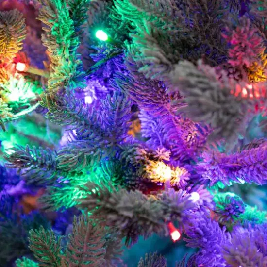7.5ft. Pre-Lit Flocked California Spruce Artificial Christmas Tree, Color-Changing LED Lights {10}