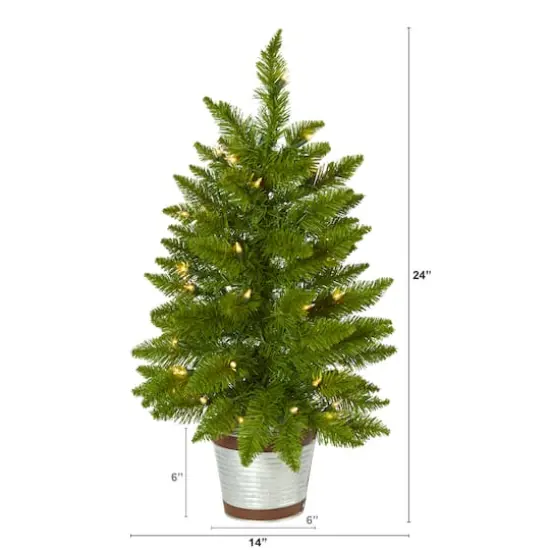 2ft. Pre-Lit Providence Pine Artificial Christmas Tree, Warm White Lights {3}