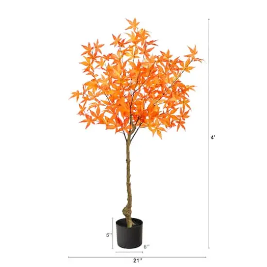 4ft. Potted Orange Autumn Maple Tree {4}