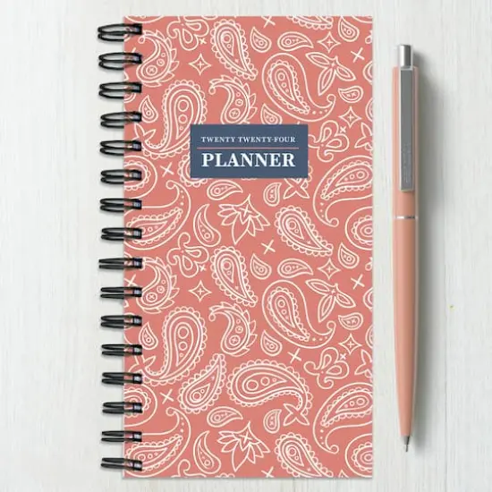 TF Publishing 2024 Planner Paisley Small Weekly Monthly Planner {5}