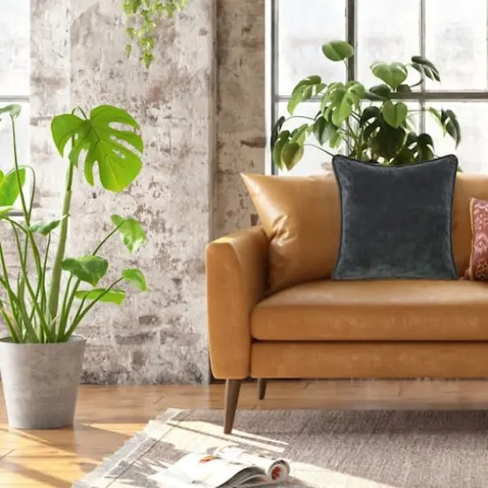 Hello Honey&reg; Charcoal Gray Velvet Pillow Cover {3}