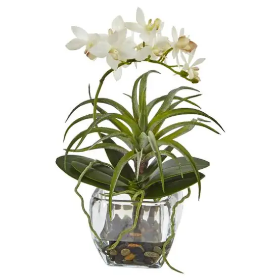 13" White Orchid & Succulent Mixed Arrangement with Glass Vase {1}