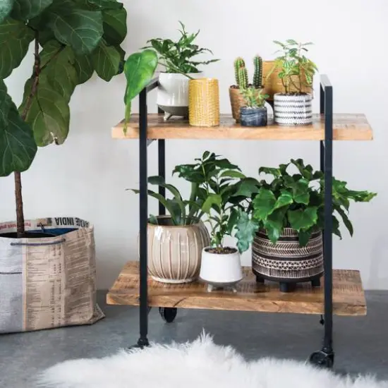 Hello Honey&reg; 8" Black Patterned Round Stoneware Flower Pot {4}