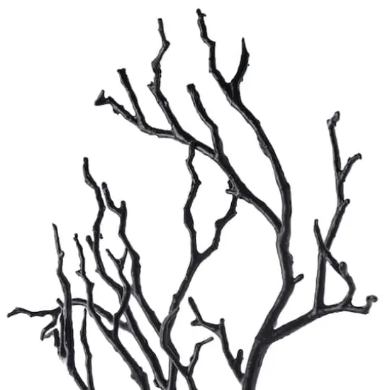 Black Bare Branch Stem by Ashland&reg; {4}