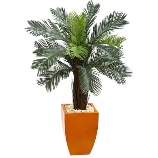 4.5ft. Cycas Tree in Orange Planter {1}