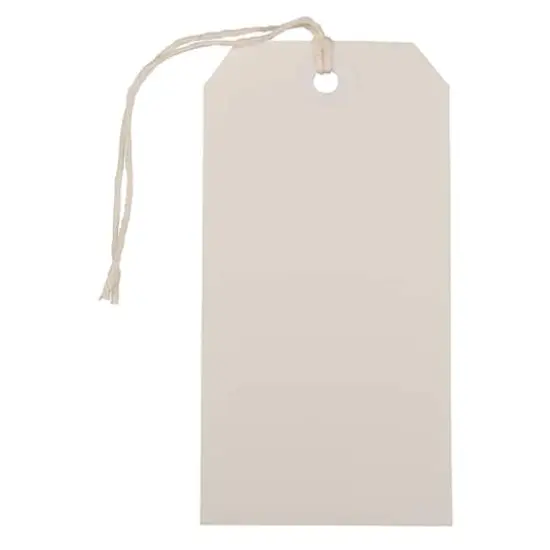 JAM Paper Medium Gift Tags with String White {1}