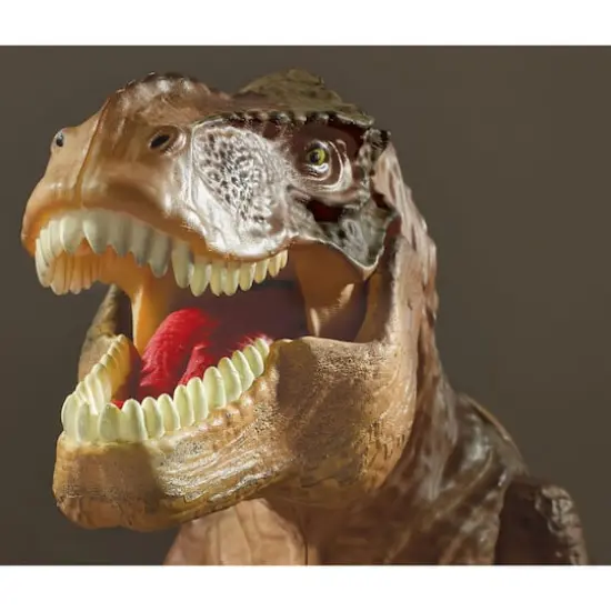 Brainstorm Toys T Rex Projector & Room Guard With 24 Images {5}