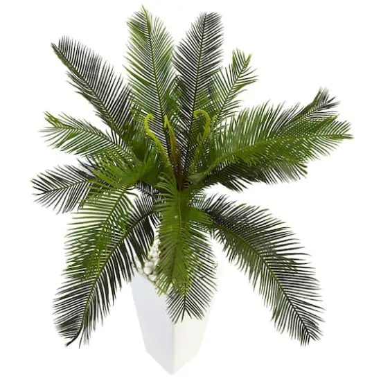 3ft. Sago Palm Tree in White Tower Planter {5}