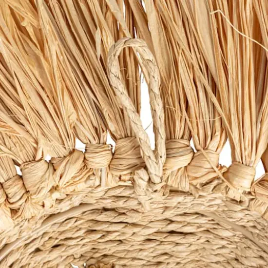 Hello Honey&reg; 16.5" Natural Savannah King Raffia Lion Wall Art {7}