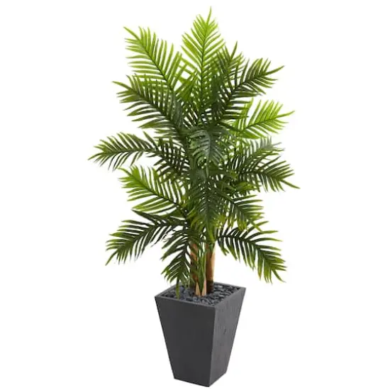 5.5ft. Areca Palm Tree with Slate Planter {1}