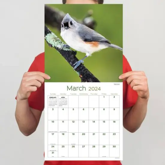 TF Publishing 2024 Backyard Birds Wall Calendar {6}