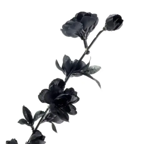 Black Blossom Spray by Ashland&reg; {5}