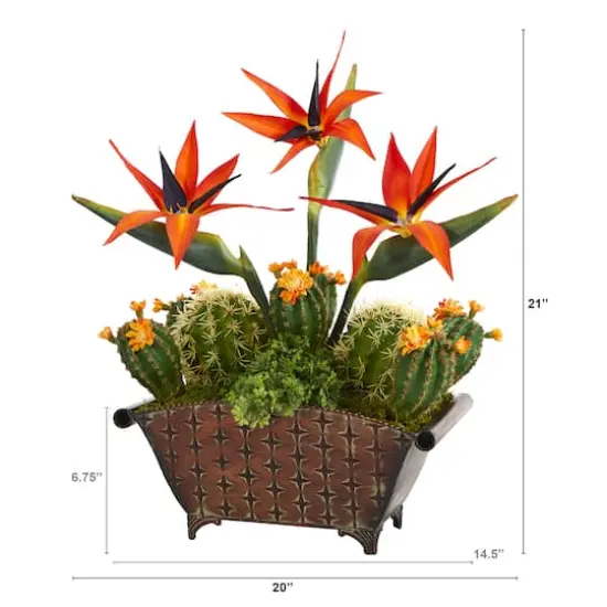 21" Bird of Paradise & Cactus Plant in Metal Planter {3}