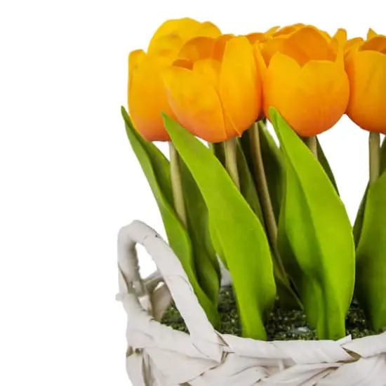 10" Tulip Bouquet in White Basket Orange {6}