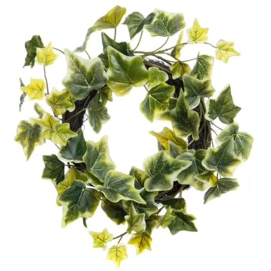 11" Mini Ivy Wreath by Ashland&reg; {1}