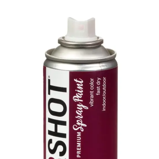 COLORSHOT&reg; Premium Satin Spray Paint Wine Stain {6}