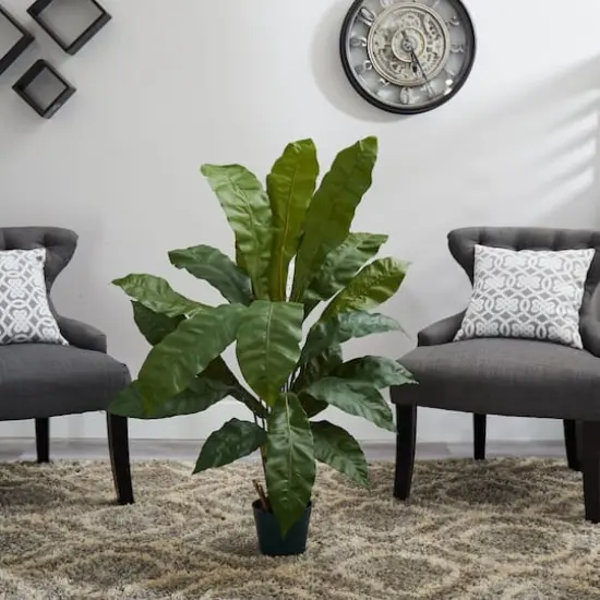 3.5ft. Potted Birds Nest Plant {3}