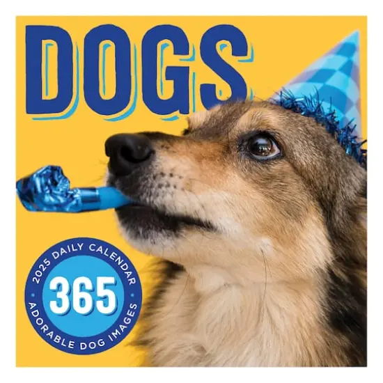 TF Publishing 2025 Dog A Day Daily Desktop Calendar {1}