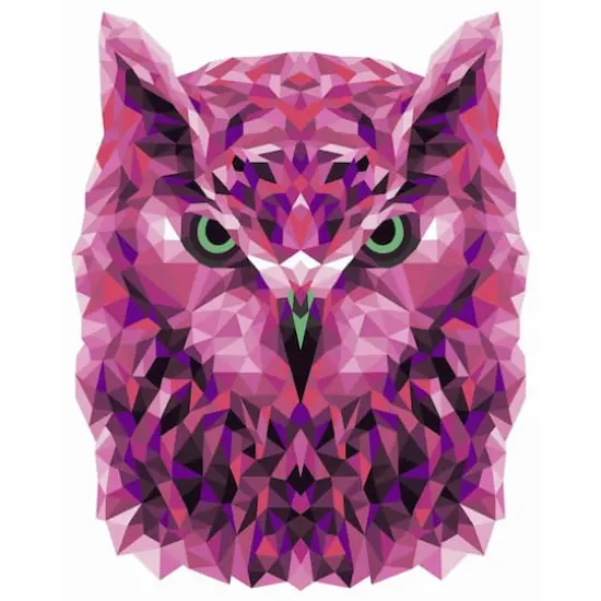 Crafting Spark Celebration Poly Owl Painting by Numbers Kit {1}