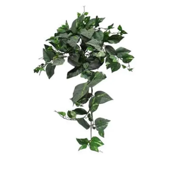 TF Publishing Frosted Pothos Bush Stems With 155 Leaves, 8ct. {1}