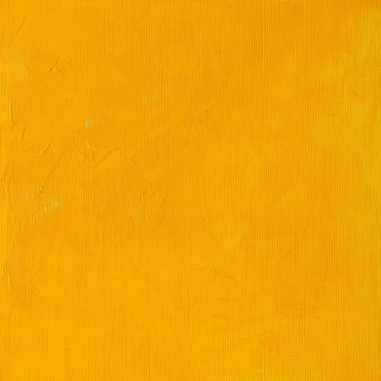 Winsor & Newton&reg; 1.25oz. Winton Oil Colour&trade; Tube Cadmium Yellow Medium {6}