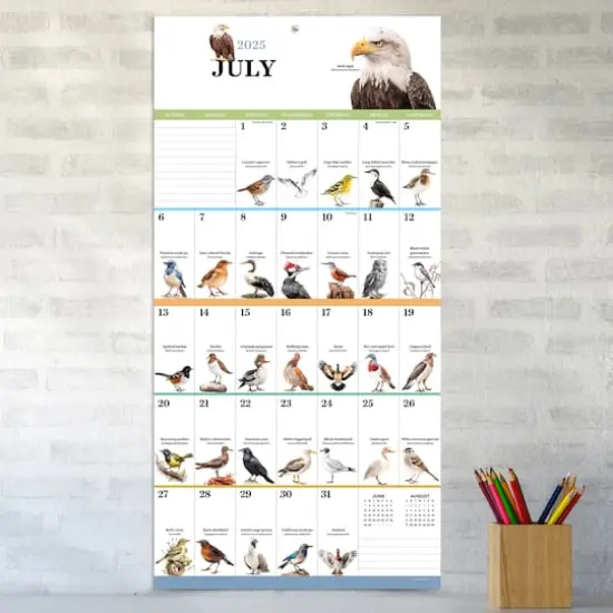 TF Publishing 2025 Birds: Backyard & Beyond Wall Calendar {4}