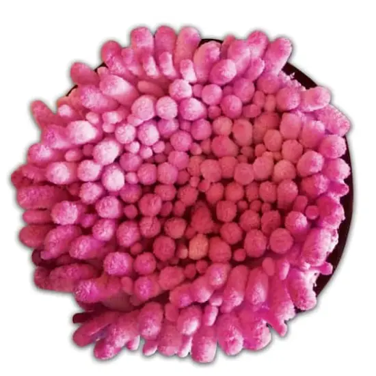 Sensory Playtivity&trade; Sensory Discs, 5ct. {3}