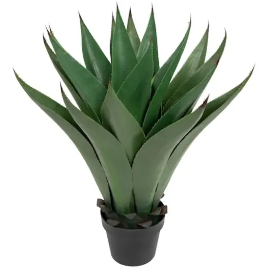 2ft. Potted Green Agave Americana Artificial Succulent Plant {4}