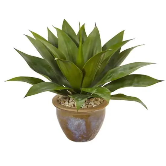 14" Agave Plant in Glazed Clay Pot {1}