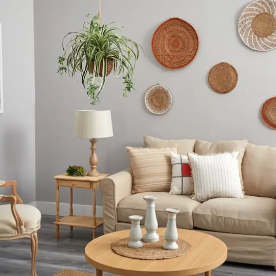 2ft. Spider Hanging Basket {5}