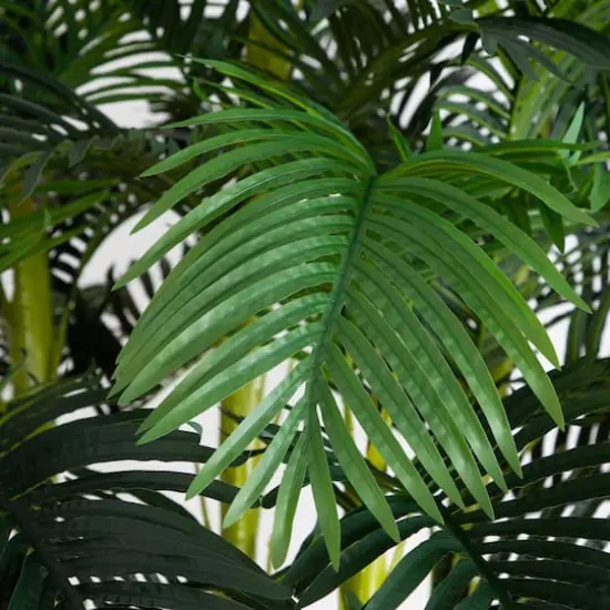 9.5ft. Potted Giant 5 Stalk Areca Palm Tree {4}