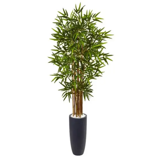 5ft. Bamboo Tree in Gray Cylinder Planter {1}