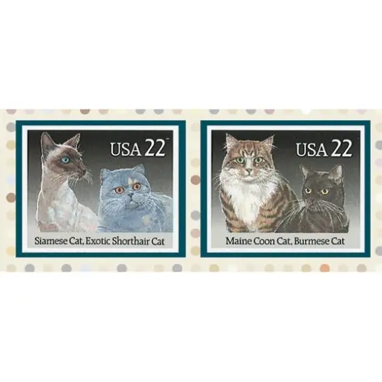 Cats Rule Photo Frame {3}