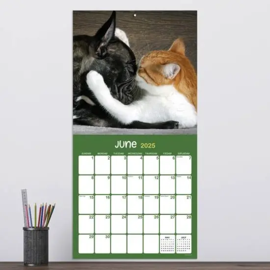 TF Publishing 2025 Furry Friends Wall Calendar {4}