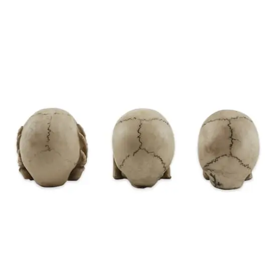2" See, Hear, or Speak No Evil Skulls Set {3}