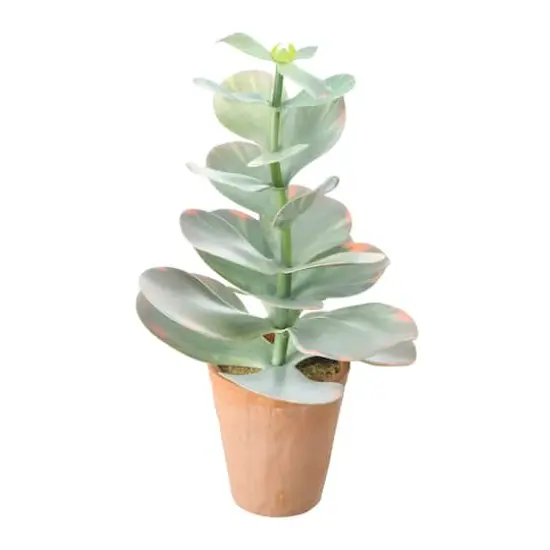 Hello Honey&reg; 18" Faux Succulent in Terra Cotta Colored Pot {5}