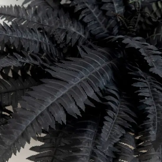 40in. Artificial Halloween Black Boston Fern - Set of 2 {4}