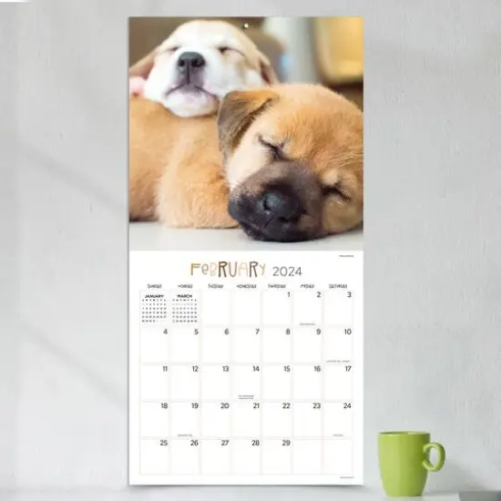 TF Publishing 2024 Dog Dreams Wall Calendar {5}