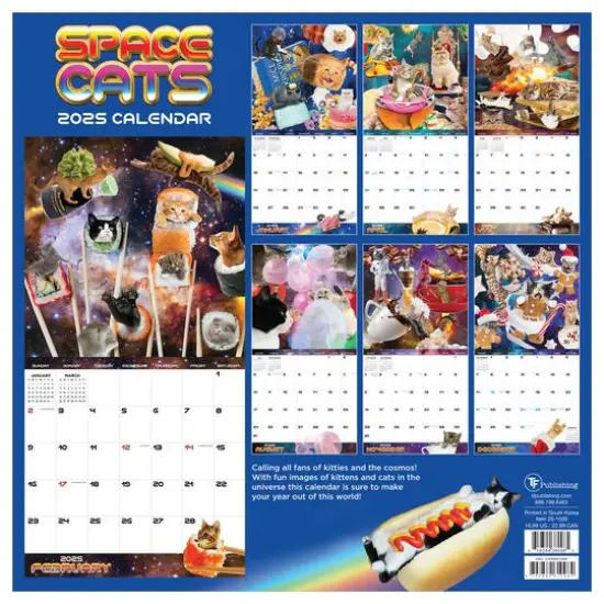 TF Publishing 2025 Space Cats Wall Calendar {3}
