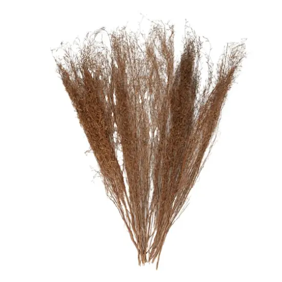 45" Brown Dried Natural Pampas Grass Foliage {4}