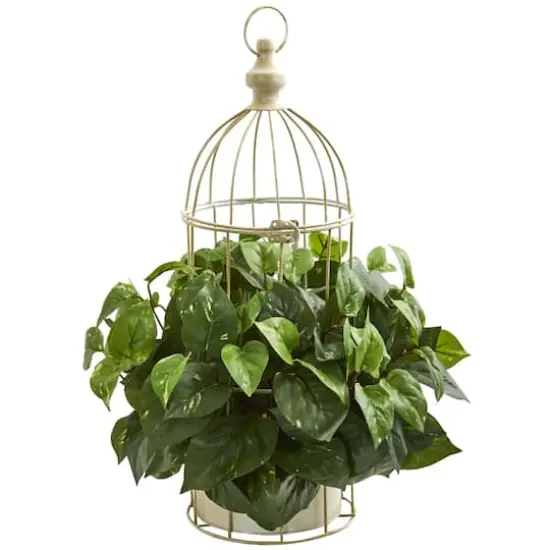 Pothos Artificial Plant in Decorative Bird Cage {1}
