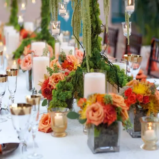 SuperMoss&reg; 8oz. Basil Preserved Reindeer Moss {3}