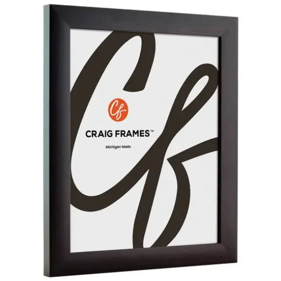 Craig Frames Contemporary Brazilian Walnut Picture Frame {3}
