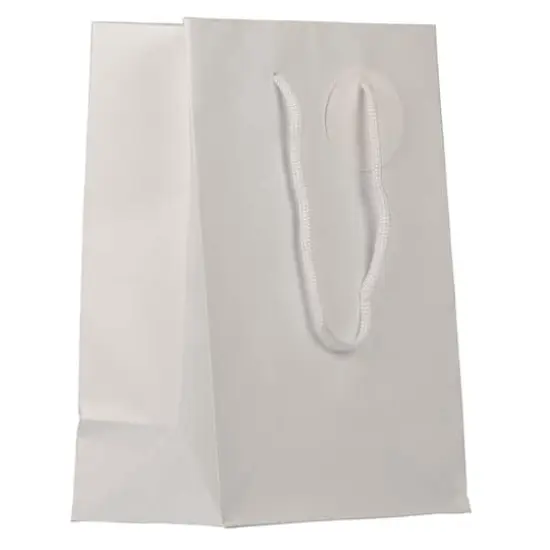 JAM Paper Medium Gift Bags with Rope Handles, 3ct. White Matte {1}