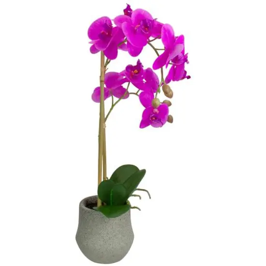 14" Purple Orchid Plant in Gray Stone Pot {7}