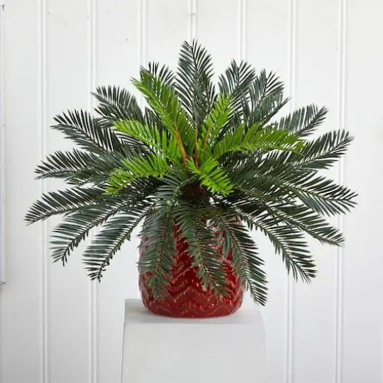 15'' Cycas Palm in Red Ceramic Planter {4}