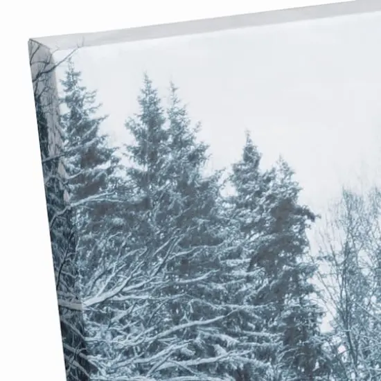 Winter Pond 36x24 Canvas Wall Art {4}