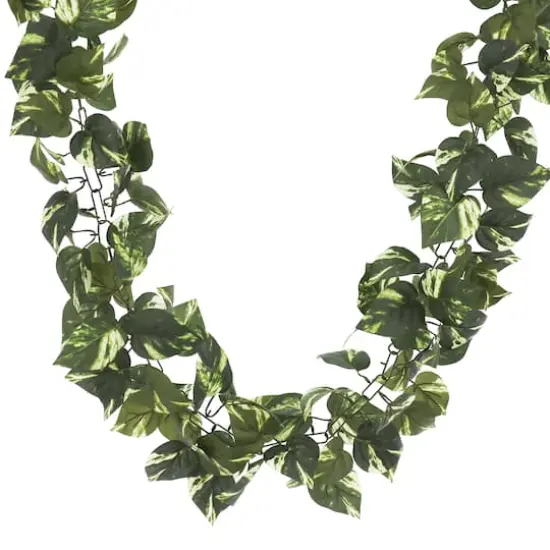 6ft. Variegated Pothos Chain Garland by Ashland&reg; {3}