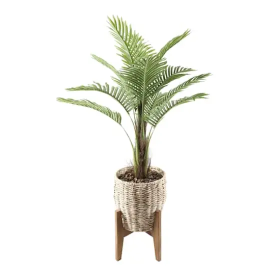 Flora Bunda&reg; 4ft. Palm in Basket Planter on Stand {1}